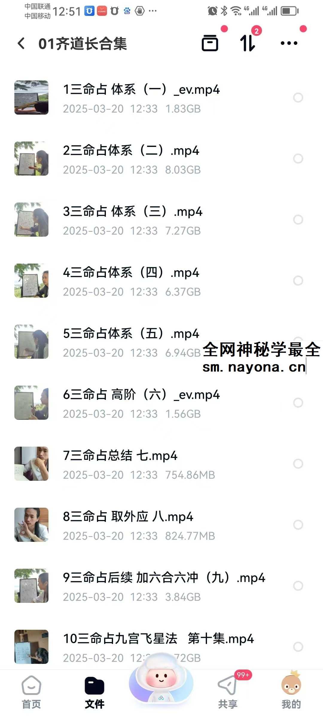 三真门齐道人传承 李淳风三命占32集视频