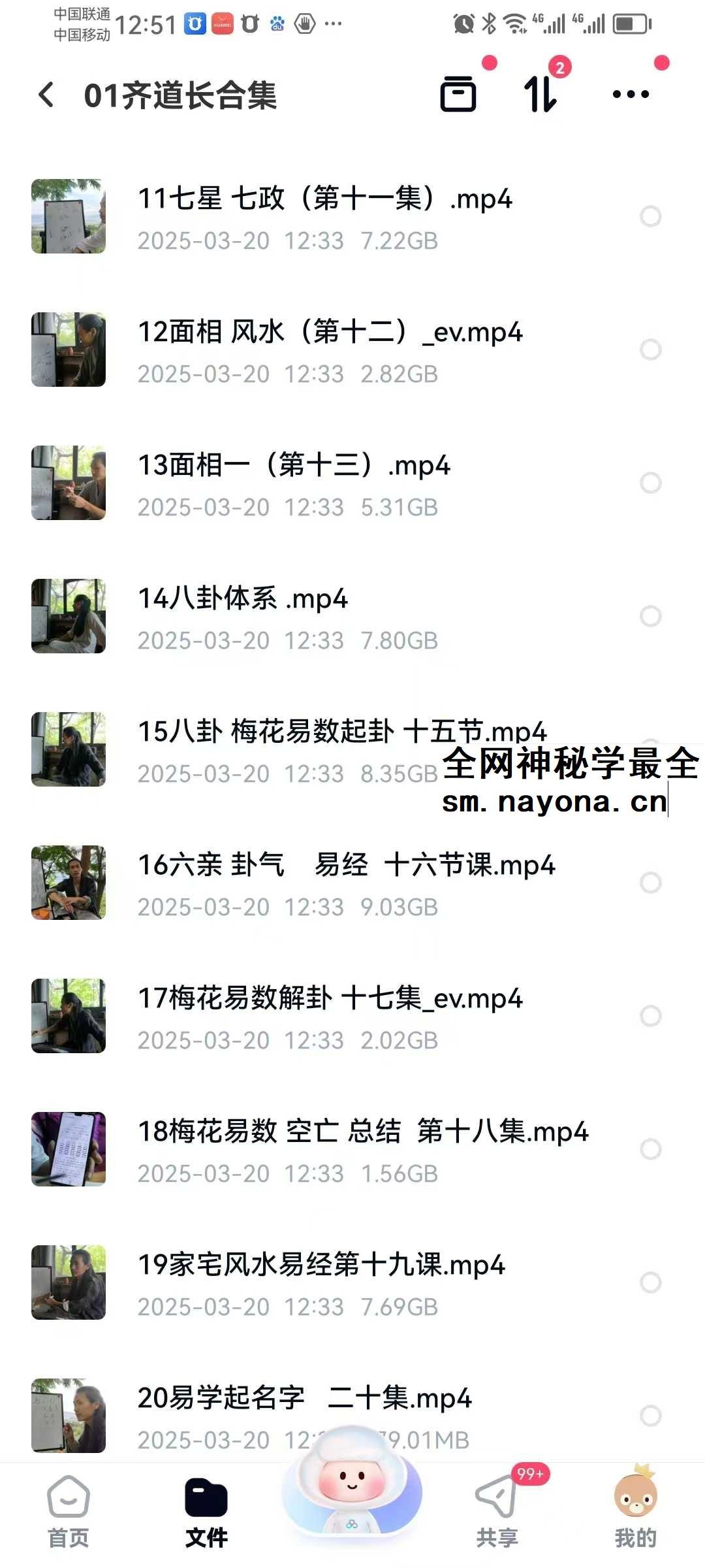 三真门齐道人传承 李淳风三命占32集视频