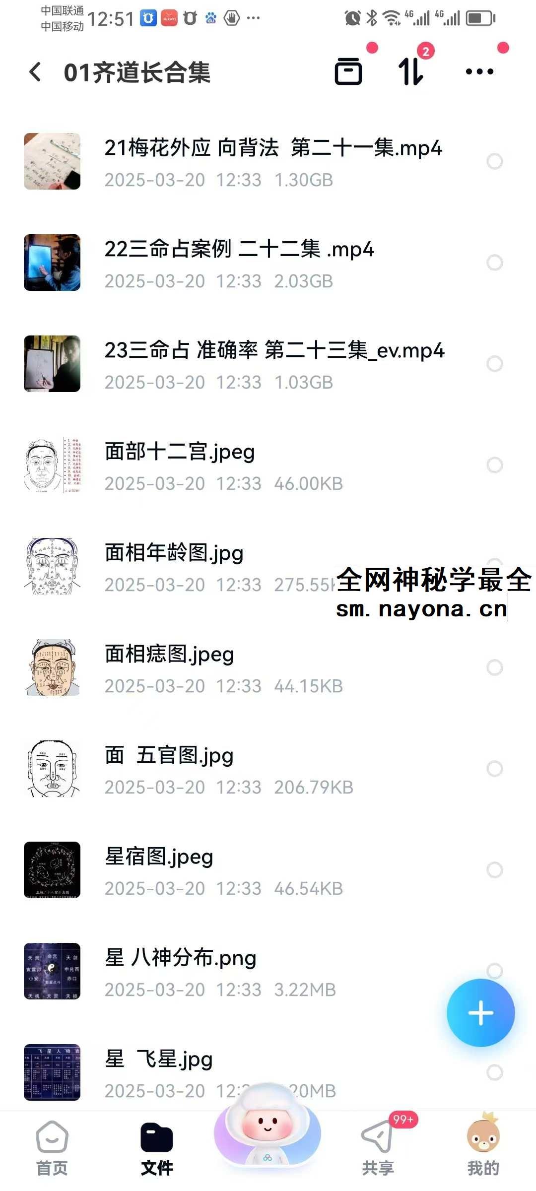 三真门齐道人传承 李淳风三命占32集视频