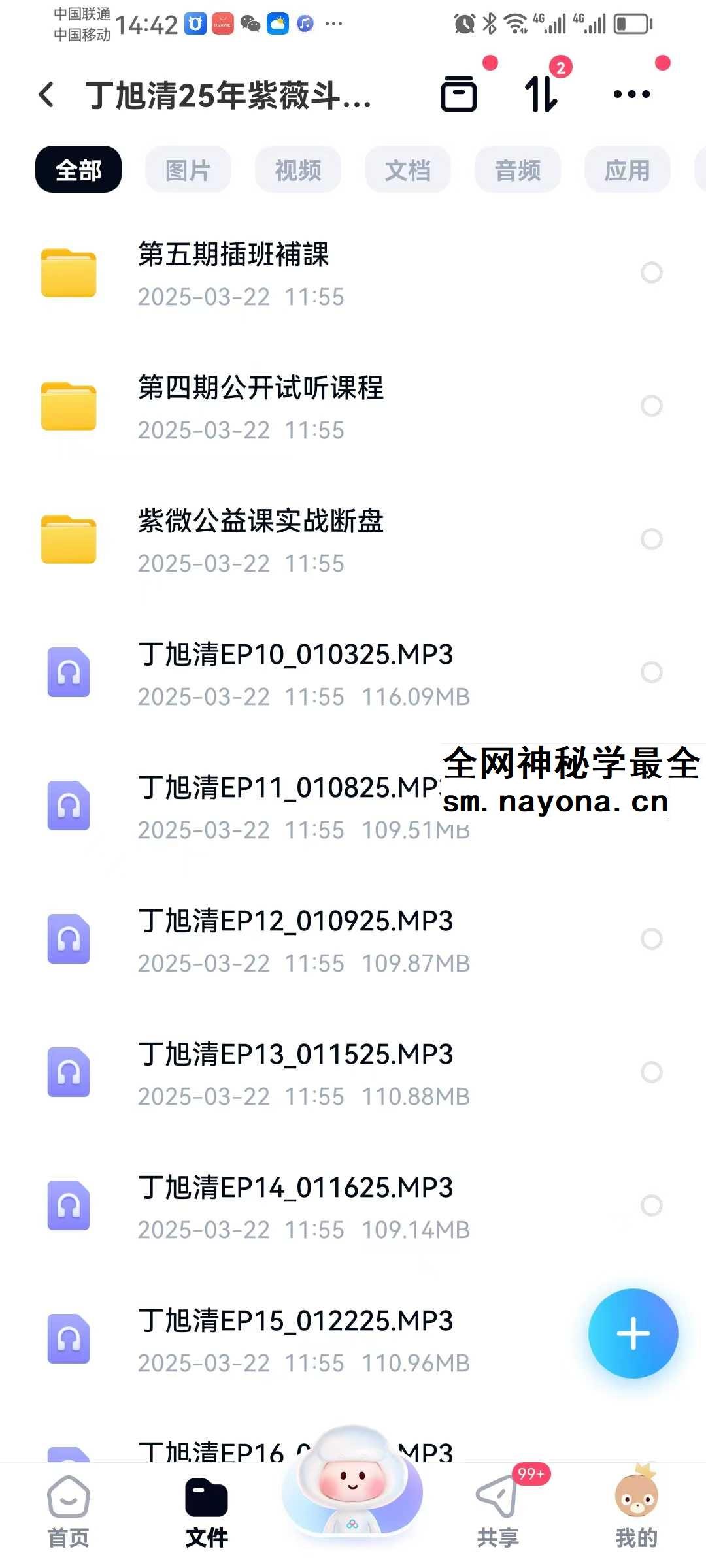 丁旭清 2025年紫薇斗数合集