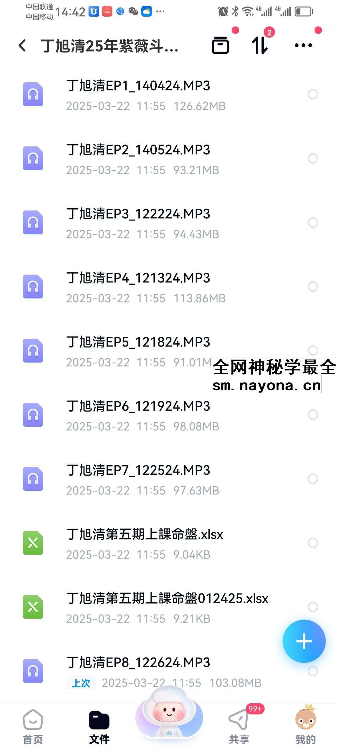 丁旭清 2025年紫薇斗数合集
