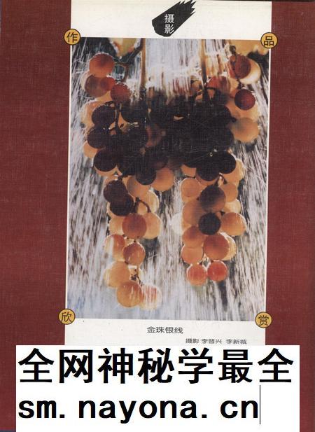 新疆画报2000年第02期.pdf电子版_新疆维吾尔族自治区志插图1
