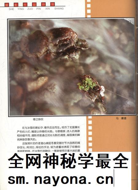 新疆画报2001年第03期.pdf电子版_新疆维吾尔族自治区志插图1 新疆画报2001年第03期.pdf电子版_新疆维吾尔族自治区志插图1