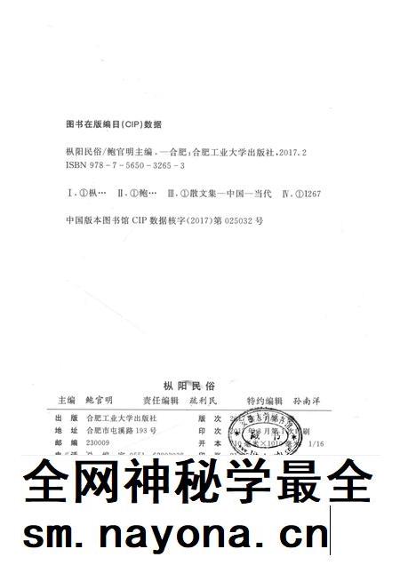 2017版枞阳民俗.pdf电子版_安徽省志插图2