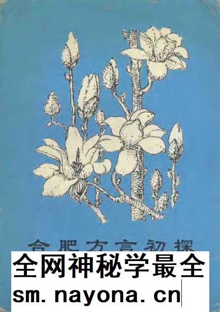 合肥方言初探.pdf电子版_安徽省志插图 合肥方言初探.pdf电子版_安徽省志插图