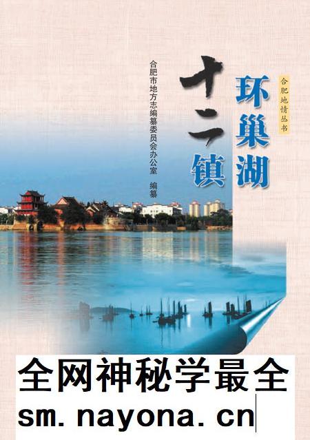 2017版环巢湖十二镇.pdf电子版_安徽省志插图