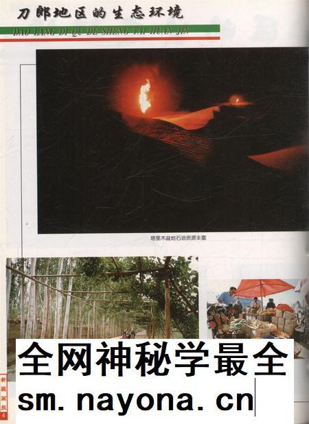 新疆画报2001年第03期.pdf电子版_新疆维吾尔族自治区志插图5 新疆画报2001年第03期.pdf电子版_新疆维吾尔族自治区志插图5