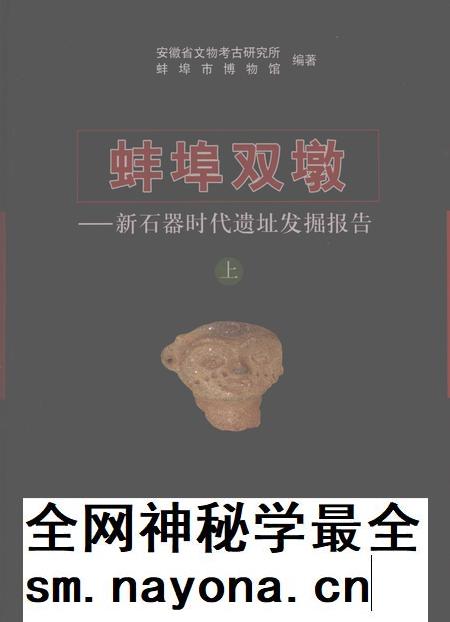 2008版蚌埠双墩  新石器时代遗址发掘报告  上下.pdf电子版_安徽省志插图