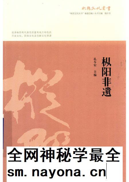2017版枞阳非遗.pdf电子版_安徽省志插图