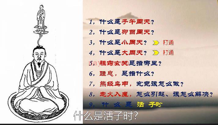 文始道《经络生成原理》视频课8集