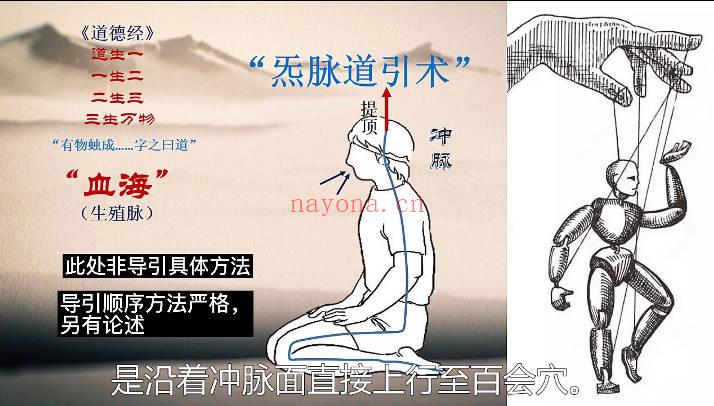文始道《经络生成原理》视频课8集