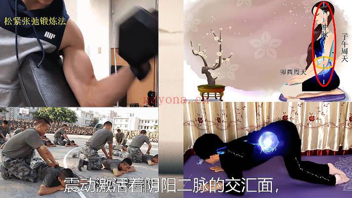 文始道《经络生成原理》视频课8集