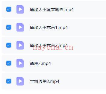 文始道《道祕天书入门》视频课5集