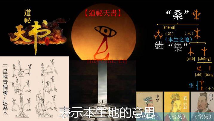 文始道《道祕天书入门》视频课5集