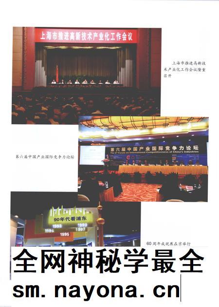 2010-上海工业年鉴 2010.pdf电子版_上海市志插图5 2010-上海工业年鉴 2010.pdf电子版_上海市志插图5