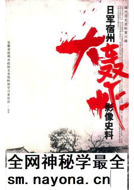 2015版宿州文史资料  日军宿州大轰炸影像史料.pdf电子版_安徽省志插图
