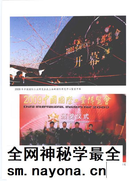 2010-上海工业年鉴 2010.pdf电子版_上海市志插图4 2010-上海工业年鉴 2010.pdf电子版_上海市志插图4