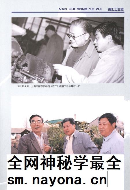 2013-南汇工业志.pdf电子版_上海市志插图4