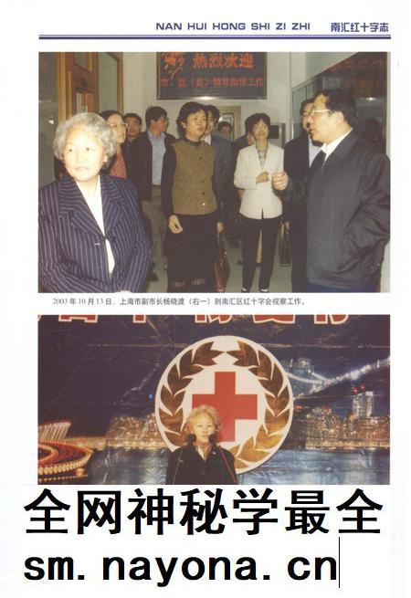2012-南汇红十字志.pdf电子版_上海市志插图4 2012-南汇红十字志.pdf电子版_上海市志插图4