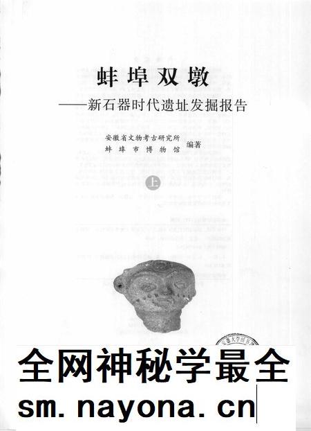 2008版蚌埠双墩  新石器时代遗址发掘报告  上下.pdf电子版_安徽省志插图1