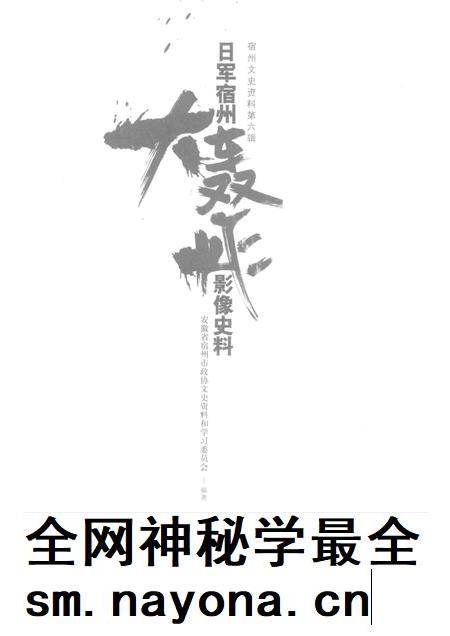2015版宿州文史资料  日军宿州大轰炸影像史料.pdf电子版_安徽省志插图1