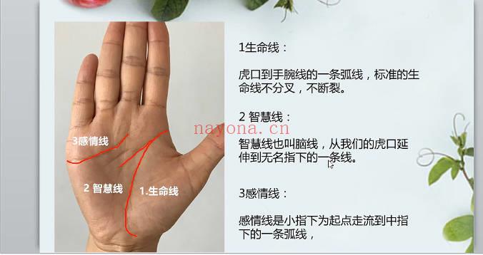 海琳 手诊《零基础 手把手教你用手诊为健康掌舵》视频12集
