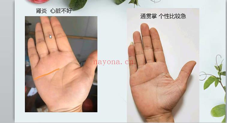 海琳 手诊《零基础 手把手教你用手诊为健康掌舵》视频12集