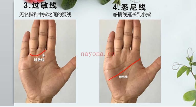 海琳 手诊《零基础 手把手教你用手诊为健康掌舵》视频12集