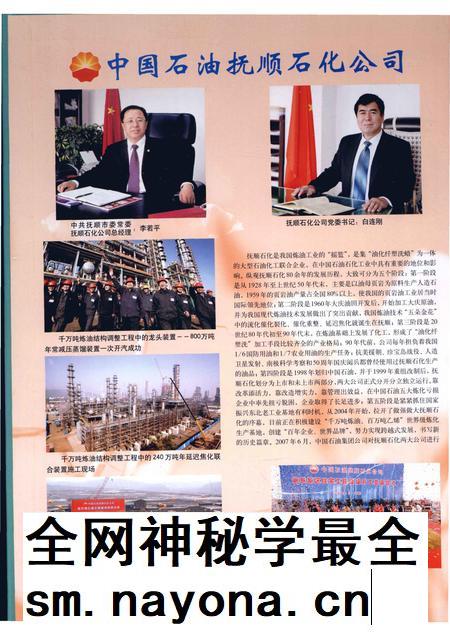 2010-抚顺年鉴  2009.pdf电子版_辽宁省志插图3