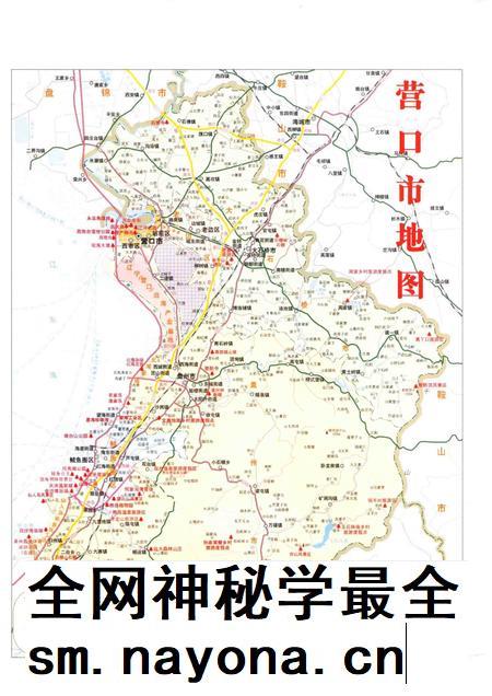 2010-营口百年图志  第3册.pdf电子版_辽宁省志插图5