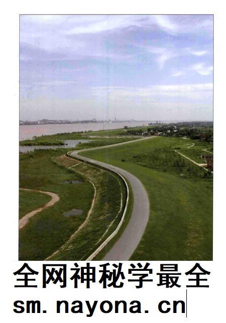 2005版无为大堤志.pdf电子版_安徽省志插图3