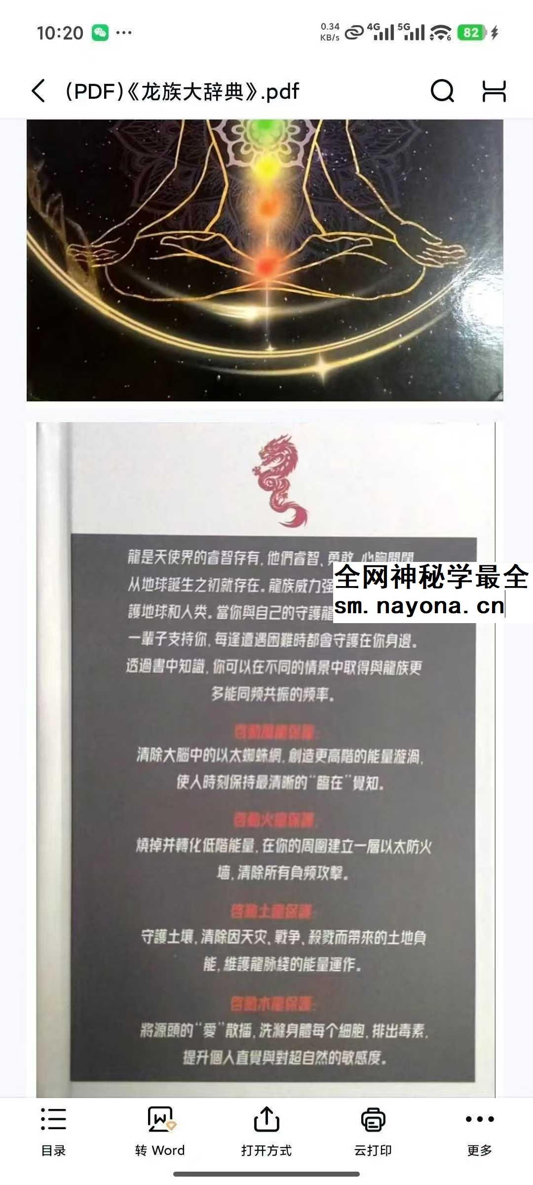 蕉爷《龙族大辞典》499页