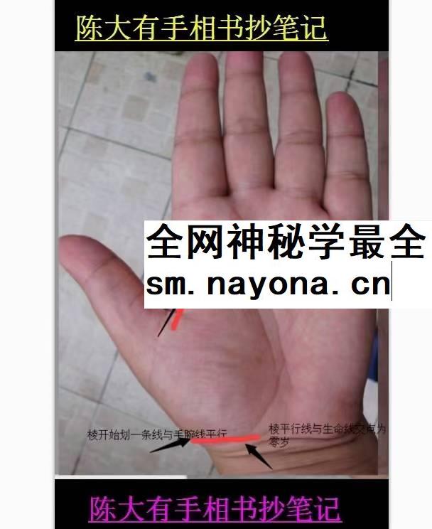 陈大有手相手抄笔记32页