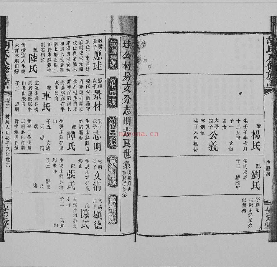 胡氏八修族谱（犹他州藏湖南省图书馆藏本）共50册