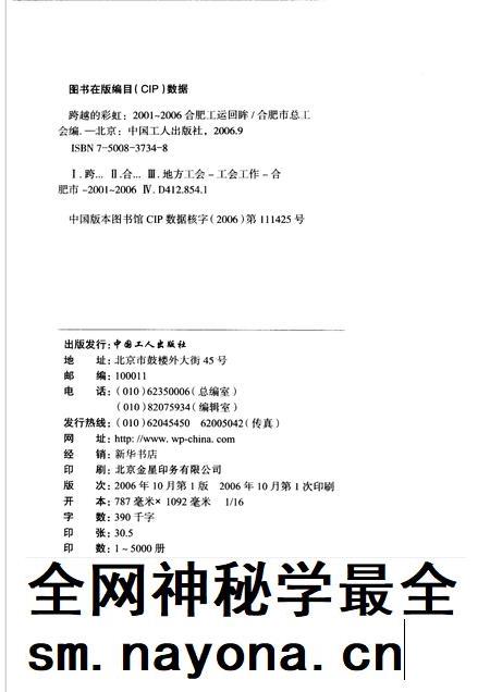 2006版跨越的彩虹  2001-2006合肥工运回眸.pdf电子版_安徽省志插图2