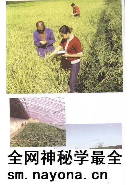 2005-抚顺县文史资料  第3辑.pdf电子版_辽宁省志插图5