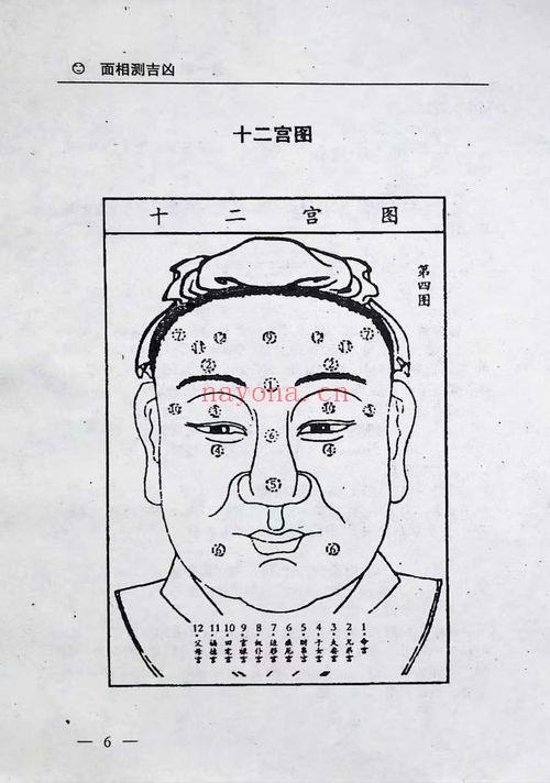 邵伟华《人生预测学》385页.PDF电子版