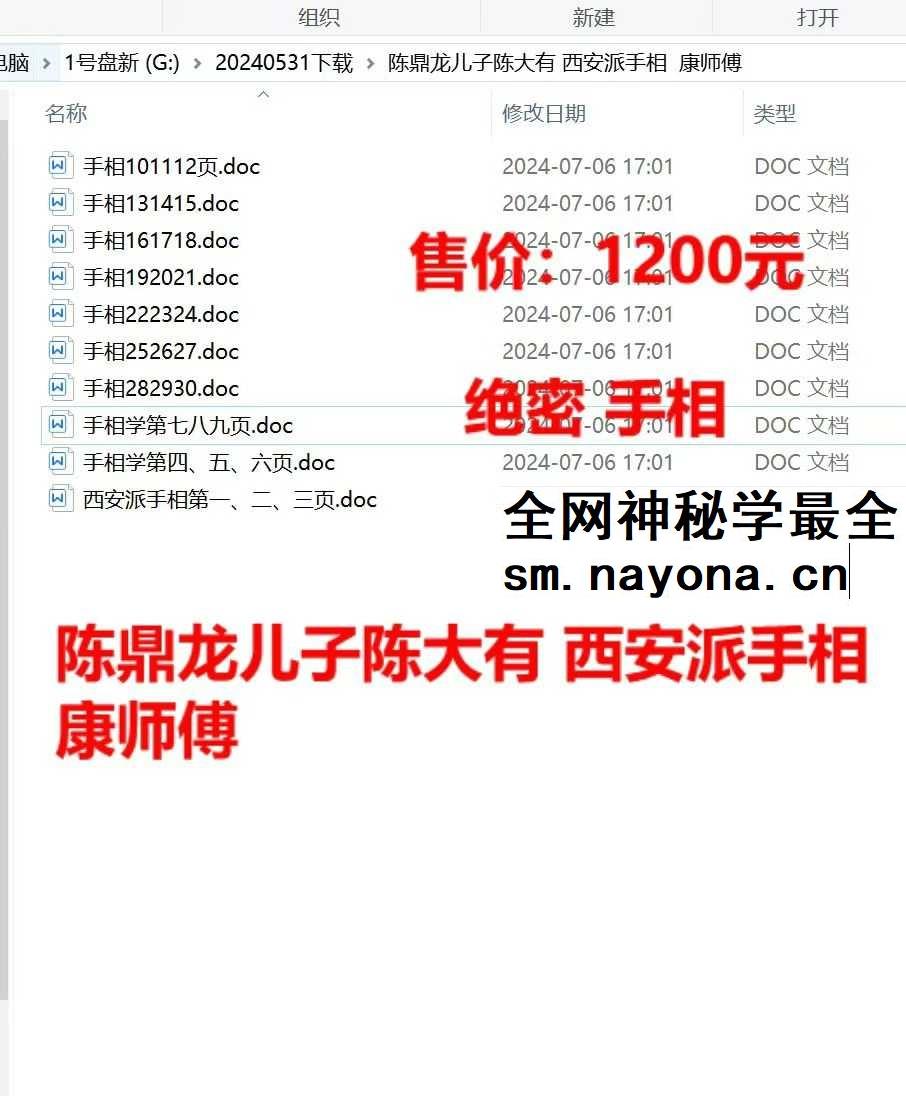 陈鼎龙儿子陈大有 西安派手相【文档】