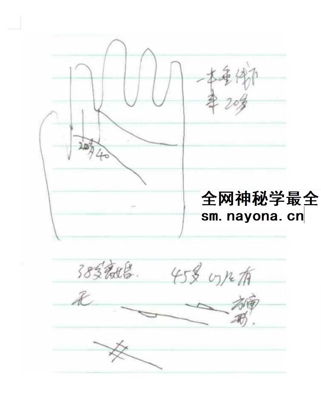 陈鼎龙儿子陈大有 西安派手相【文档】