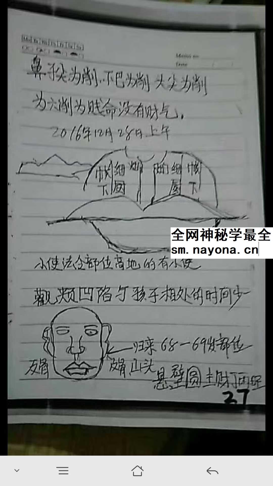 张秀梅 面授笔记54页+授徒笔记36页