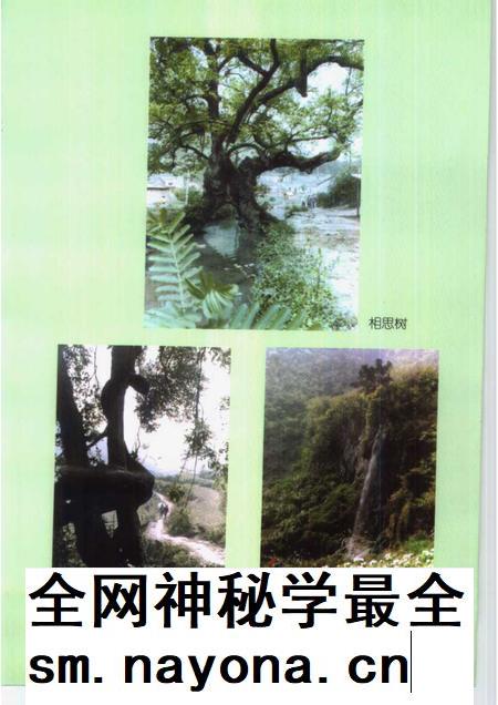 1999版铜陵文史资料选编 第8辑 铜陵旅游资源辑览.pdf电子版_安徽省志插图4 1999版铜陵文史资料选编 第8辑 铜陵旅游资源辑览.pdf电子版_安徽省志插图4