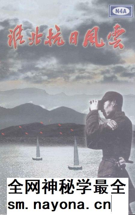 2001版淮北抗日风云.pdf电子版_安徽省志插图