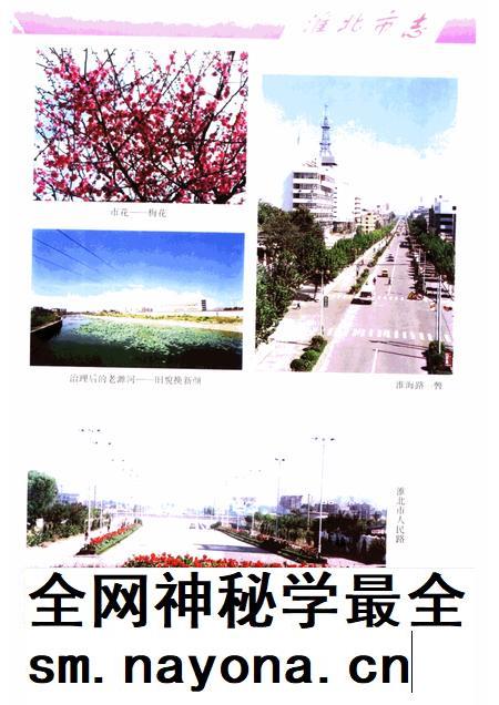 1999版淮北市志.pdf电子版_安徽省志插图3