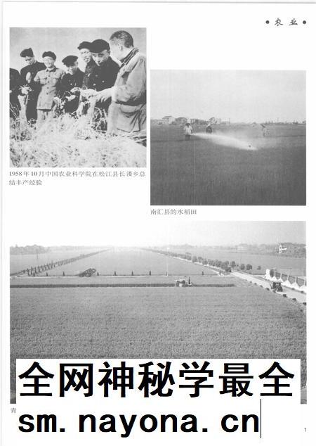 2005-上海通志 第5册.pdf电子版_上海市志插图3 2005-上海通志 第5册.pdf电子版_上海市志插图3