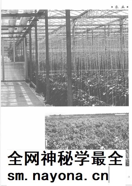 2005-上海通志 第5册.pdf电子版_上海市志插图5 2005-上海通志 第5册.pdf电子版_上海市志插图5