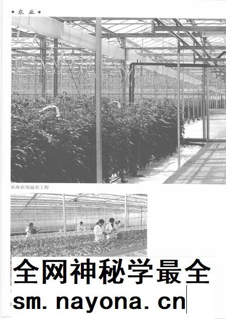 2005-上海通志 第5册.pdf电子版_上海市志插图4 2005-上海通志 第5册.pdf电子版_上海市志插图4