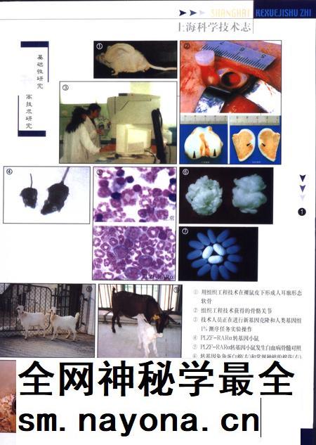 2003-上海科学技术志 1991-1999.pdf电子版_上海市志插图3 2003-上海科学技术志 1991-1999.pdf电子版_上海市志插图3