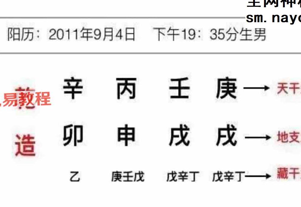 李明棋老师 地支藏干的奥秘及运用秘籍.pdf 46页