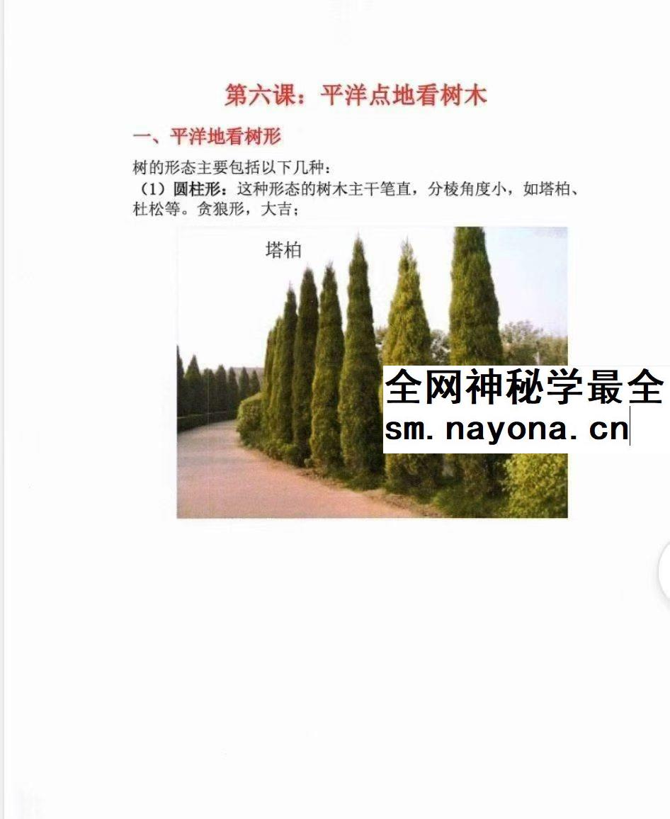 林来锦 古法形家地理讲义系列之《平洋地寻龙点穴断诀》96页