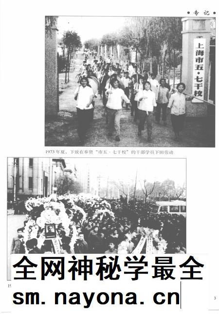 2005-上海通志  第10册.pdf电子版_上海市志插图5